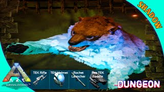 ark mobile EP36ลงดันเจี้ยน Affluent Halls of Solitude กัน เกมมือถือ dungeon map [upl. by Kristoffer669]