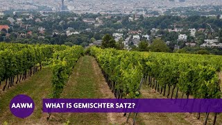 What is Gemischter Satz [upl. by Eardnaed]