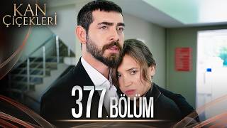 Kan Çiçekleri 377 Bölüm [upl. by Diao]