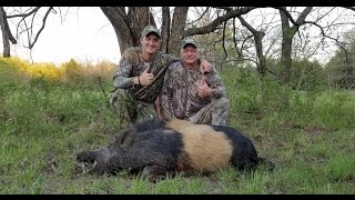 HUGE WILD BOAR IN OKLAHOMA PLINKSTER OUTDOORS [upl. by Elon586]