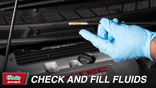 How To Check and Fill Your Vehicles Fluids [upl. by Obelia54]