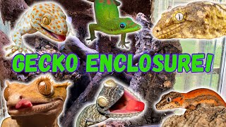 How to set up a gecko enclosure [upl. by Nalyad]