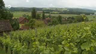 Die Weinregion Thurgau in der Schweiz  Euromaxx [upl. by Randi457]