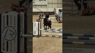 Addington Equestrian Centre 1m open class 825 double clear 🥳 horseriding horses showjumping [upl. by Gradeigh]