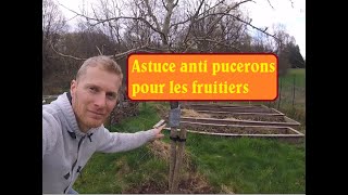 astuce anti pucerons en 1 minute [upl. by Gnilrac863]