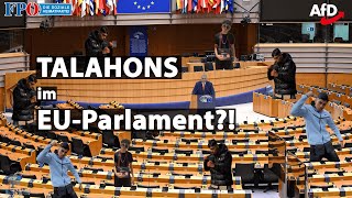 Talahons im EUParlament [upl. by Johannessen]