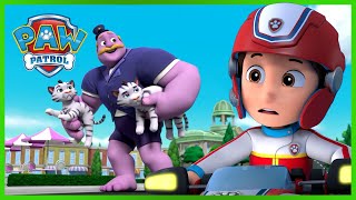 Patrulha Pata para o Gigante Humdinger e muito mais  PAW Patrol Episódio Português [upl. by Crockett]