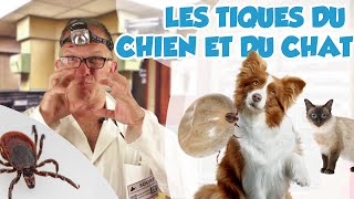 Dr Wouf  LES TIQUES DU CHIEN ET DU CHAT [upl. by Nnylyoj]