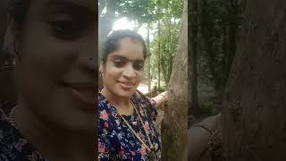 malayalam song trending songsinger KJ Yesudasfeeling song [upl. by Perseus]