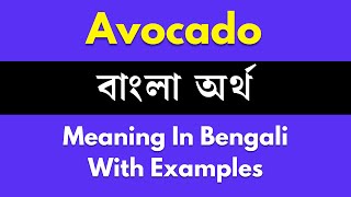 Avocado Meaning in Bengali Avocado শব্দের বাংলা ভাষায় অর্থ অথবা মানে কি [upl. by Brittan]