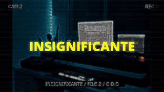 Cecchini  Insignificante Visualizer [upl. by Eceinert]