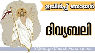 31032024  EASTER HOLY MASS  StGeorge Church Perumanoor [upl. by Tterag]