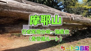 【摩耶山・新神戸駅発】行者尾根分岐～掬星台（青谷道ルート） ”ノーカットで見たい人はコレ！” [upl. by Polito]