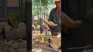 Efficient Wood Splitting with Precision Tools😯👌 [upl. by Anna-Diana]