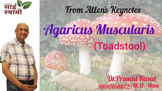 My Experiences with Agaricus Muscarius [upl. by Atinoj]