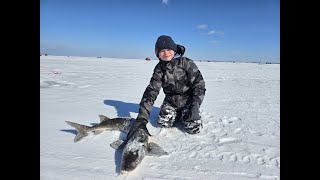 2nd Sturgeon 2024 Lake Winnebago Sturgeon Spearing Season [upl. by Yezdnil]