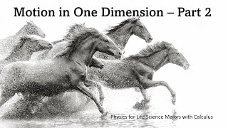 Motion in One Dimension Part 2 Physics for Life Science Majors With Calculus [upl. by Pamelina]