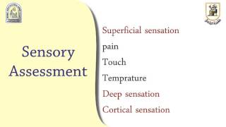 Sensory examination of the nervous system [upl. by Japeth]