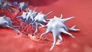 Hemostasis Coagulation and Fibrinolisis [upl. by Amyas184]