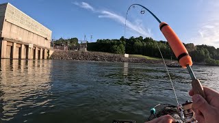 Caught So Many Below This Big Dam MELTON HILL TN [upl. by Spiers]