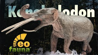 2022 Eofauna Konobelodon Review [upl. by Cooperstein983]