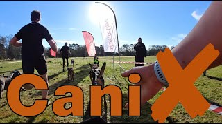 My first running race PULLING my human canicross race from dog POV [upl. by Teyut]