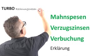 Mahnspesen Verzugszinsen Verbuchung Erklärung [upl. by Vassily531]