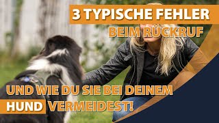 3 Fehler beim Rückruf amp wie du es mit deinem Hund richtig machst [upl. by Ymmat634]