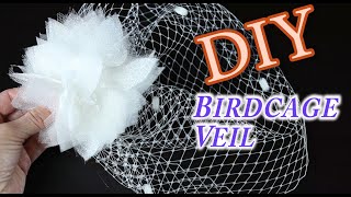 DIY Birdcage Bridal Veil [upl. by Ardnoyek]