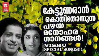 കേട്ടുണരാൻ കൊതിതോന്നുന്ന പഴയകാല ഗാനങ്ങൾ  VISHU SPECIAL SONGS  MALAYALAM FILM SONGS [upl. by Comfort]