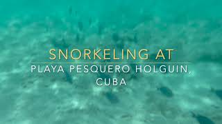 Playa Pesquero Snorkeling In Cuba Holguin [upl. by Malti]