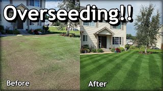 How To OVERSEED Your Lawn in SPRING  Complete Step by Step Guide [upl. by Anevad257]