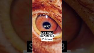 Scp1013 Do want to eat Chicken shorts ytshorts facts viralvideo scary history short [upl. by Maryl650]