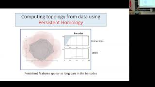 Distinguished Lecture Series Lecture 02  Applications of topological data analysis in cancer [upl. by Bradwell]