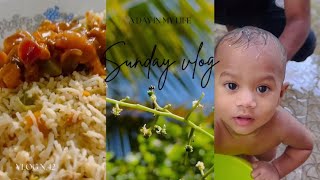 Sunday vlog  Day in my life vlog  chilly prawns fried rice [upl. by Aytac925]