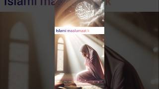 Humare Nabi aur Pehle Nabi ka Kya baat hai  Nabi ka Tareekh ka Taaruf kya hua 🤔📚  muhmmadﷺ [upl. by Mas]