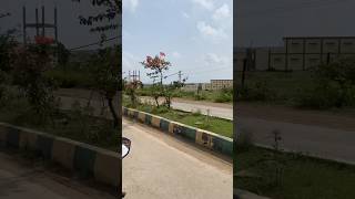 Pavagadh song live bollywood hindisong shortsvideo [upl. by Leirrad]