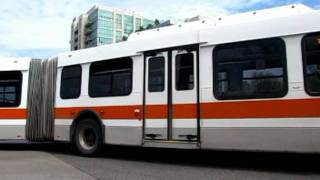 Mississauga Brampton amp York Region Transit Bus Systems [upl. by Dilan]