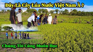 Quang Dũng  Các Anh Thợ Xây Cũng Rất Muốn Làm Nông Nghiệp Khi Lần Đầu Tiên Được Nhìn Thấy Cây Lúa [upl. by Millburn]