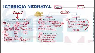 Neonatología  Ictericia neonatal [upl. by Jasmine]