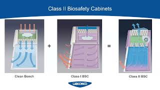 Cale Beiermann Labconco Laminar Flow Enclosures [upl. by Homere]