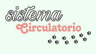 EXPLORANDO EL SISTEMA CIRCULATORIO GENERALIDADES FUNCIÓN CASOS CLINICOS Y MÁS [upl. by Yasu]