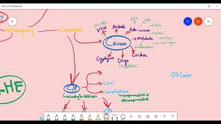 Hepatology revesion 2 liver cirrhosis Hepatic encephalopathyALFHCC and portal HTN ASM Minds [upl. by Schuh368]