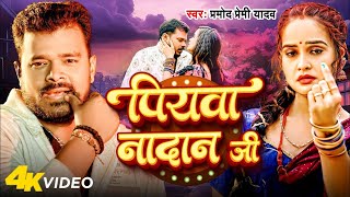 Video  Pramod Premi Yadav  पियवा नादान जी  Pallavi Singh  Piyawa Nadan Ji  New Song 2024 [upl. by Gensmer]