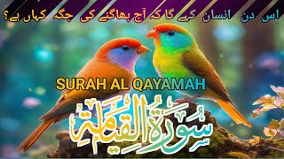 Surah AL Qayamah  Beautiful recitation Heart touching Recitaition  Qari Jhanzaib Passwal [upl. by Emelita]