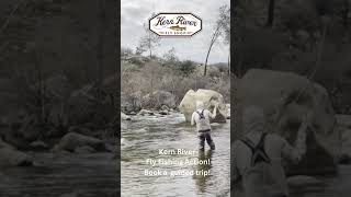 Winter Dry Fly fishing on the Kern River in California flyfishing fishing flyfisherman [upl. by Dola]