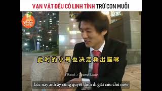 Vạn vật đều có linh tính [upl. by Adnopoz538]