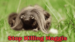 Happy St Andrews Day And Stop Killing Haggis StAndrewsDay Scotland [upl. by Ruzich]