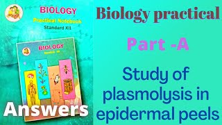 Study of plasmolysis in epidermal peels Class 12 biology practical experiment 2 answers [upl. by Anaerb]