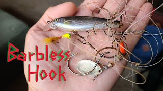 Barbless hooks WHY I USE THEM 90 of the time [upl. by Elinore]